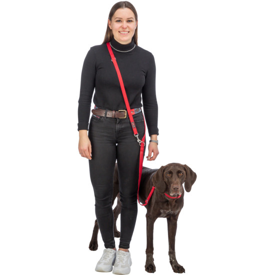 Trixie zgardă Premium albastră pentru câini, XXS-XS, 15-25 cm/10 mm